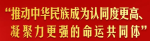 习近平总书记指引民族团结进步事业高质量发展