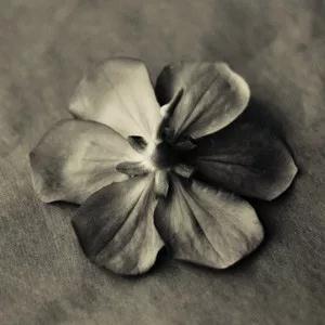 1597549215334572.jpg 20.jpg