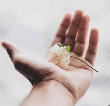 1597550129298597.jpg 23.jpg