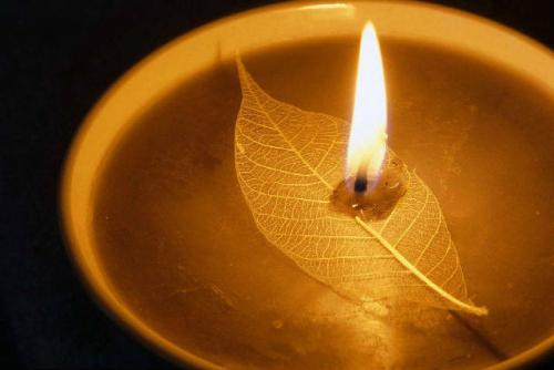 1598514526136208.jpg 47.jpg