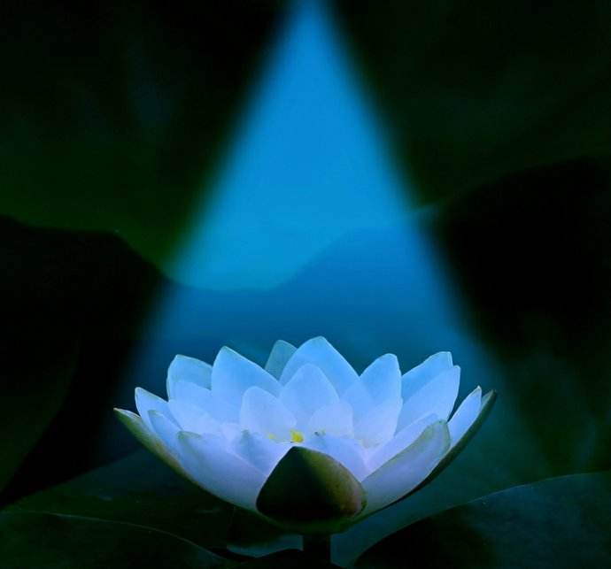 1598688513398000.jpg 4.jpg