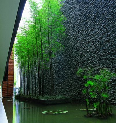 1598689668461214.jpg 7.jpg