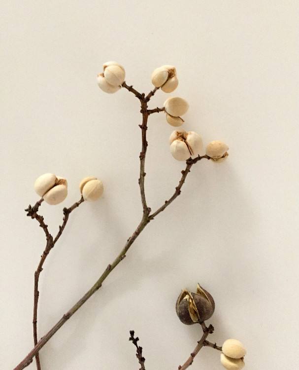 1598689740773969.jpg 8.jpg