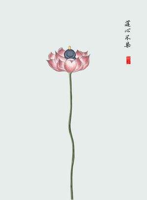 1598839075928195.jpg 41.jpg