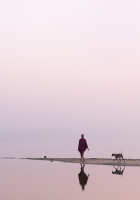 养生之道就是抛却&ldquo;三毒&rdquo;：嗔恨 贪婪 愚痴