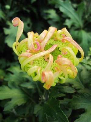 1599286537220796.jpg 6.jpg