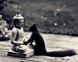 1599445043113569.jpg 27.jpg