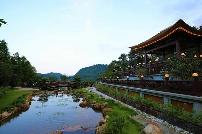 1599458365539274.jpg 24.jpg