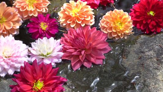 1599544807779778.jpg 79.jpg