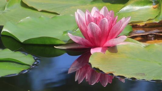 1599544853106000.jpg 80.jpg