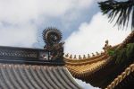 五不死──施果感五不死