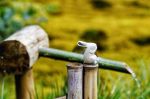 五种土──土有五种