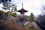 五种相──色蕴有五种相