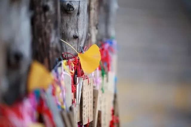 1600063802910036.jpg 微信图片_20200914140407.jpg