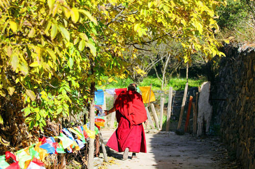 1600134956265290.jpg 微信图片_20200911084541.jpg