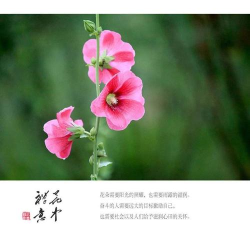 微信图片_20200911134558.jpg