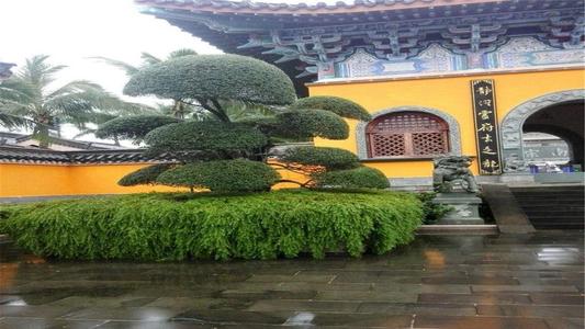 微信图片_20200911133813.jpg