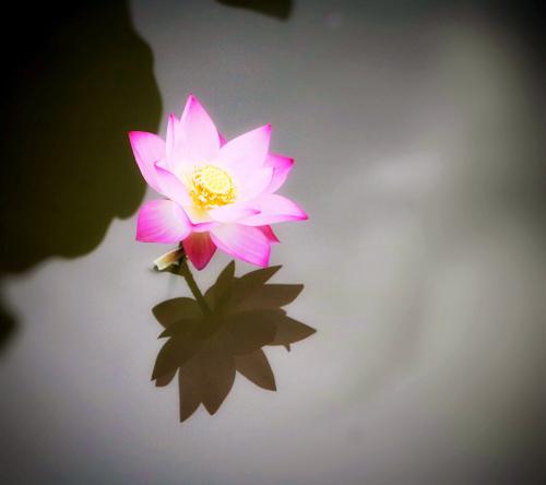 微信图片_20200911134631.jpg