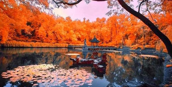 微信图片_20200916083916.jpg