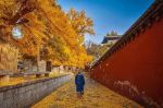 教习学生规约