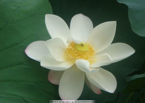 微信图片_20200917090651.jpg