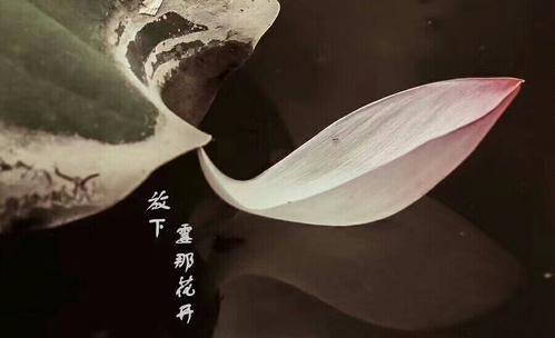 微信图片_20200917090836.jpg