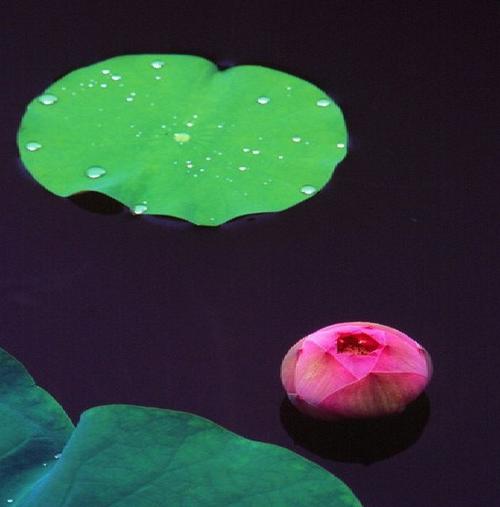 1600331797648359.jpg 微信图片_20200917090616.jpg