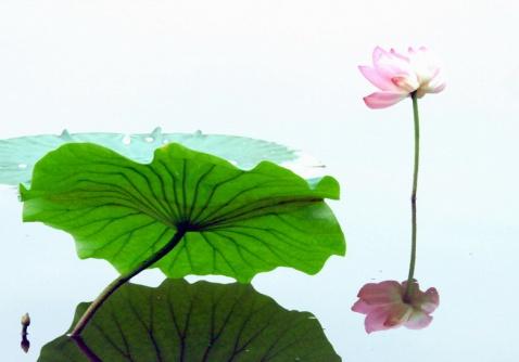 1600331989257114.jpg 微信图片_20200917090739.jpg