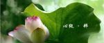 随众过堂