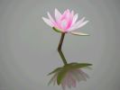 禅堂里的佛事