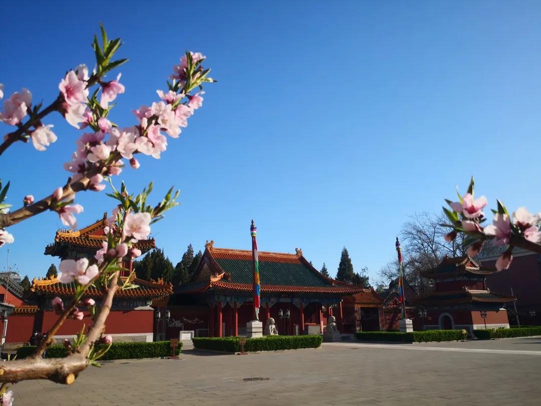 微信图片_20200921114916.jpg