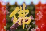 念观音菩萨好还是阿弥陀佛好？答案在这里
