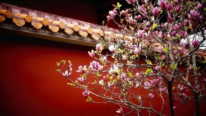 1601359343299888.jpg 微信图片_20200921134551.jpg