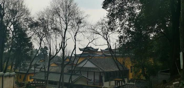 微信图片_20200921105246.jpg