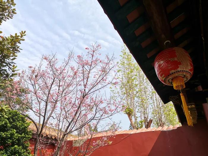 1602491116122791.jpg 微信图片_20200921134626.jpg