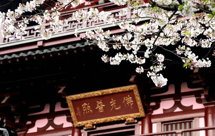 1602834373522405.jpg 微信图片_20200921111415.jpg