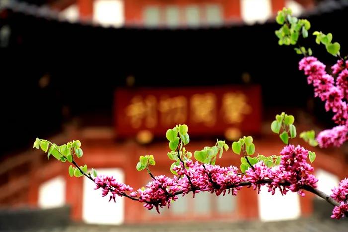 1602834383558552.jpg 微信图片_20200921111413.jpg