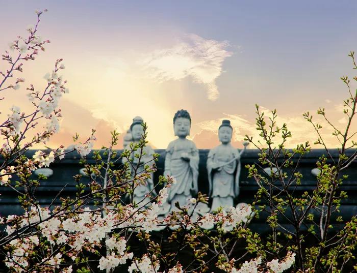 1602834422192524.jpg 微信图片_20200921111326.jpg