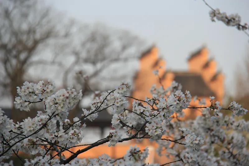 1603155793705721.jpg 微信图片_20200921140008.jpg