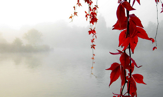 1603272519114675.png 9.png