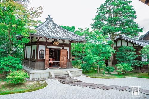 1603345997409705.jpg 55.jpg