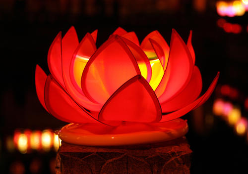 1603346232753443.jpg 65.jpg