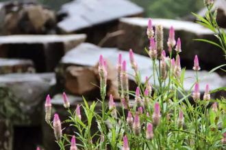 1603346502840582.jpg 84.jpg