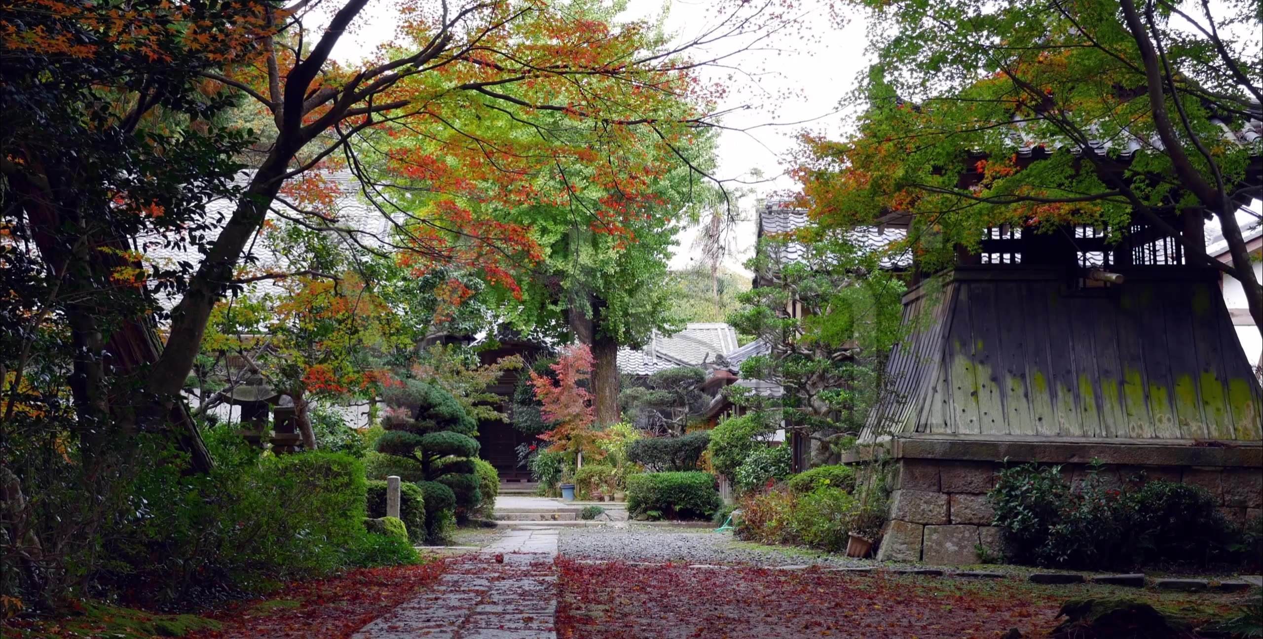 1603346556815021.jpg 91.jpg