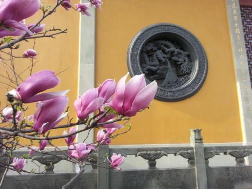 1603346831672285.jpg 99.jpg