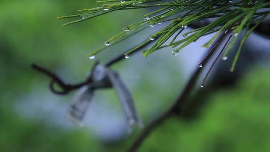 1603347111808093.jpg 9.jpg