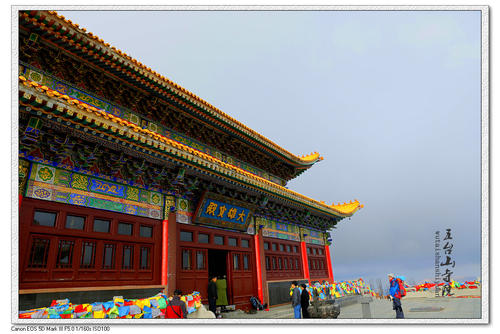 1603347154101417.jpg 11.jpg