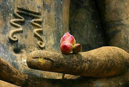 1603350325899708.jpg 63.jpg