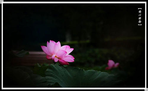 1603350379124731.jpg 66.jpg