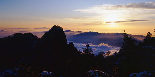 1603350524124904.jpg 74.jpg